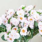 Pale Pink Rose Spray with Buds Peony