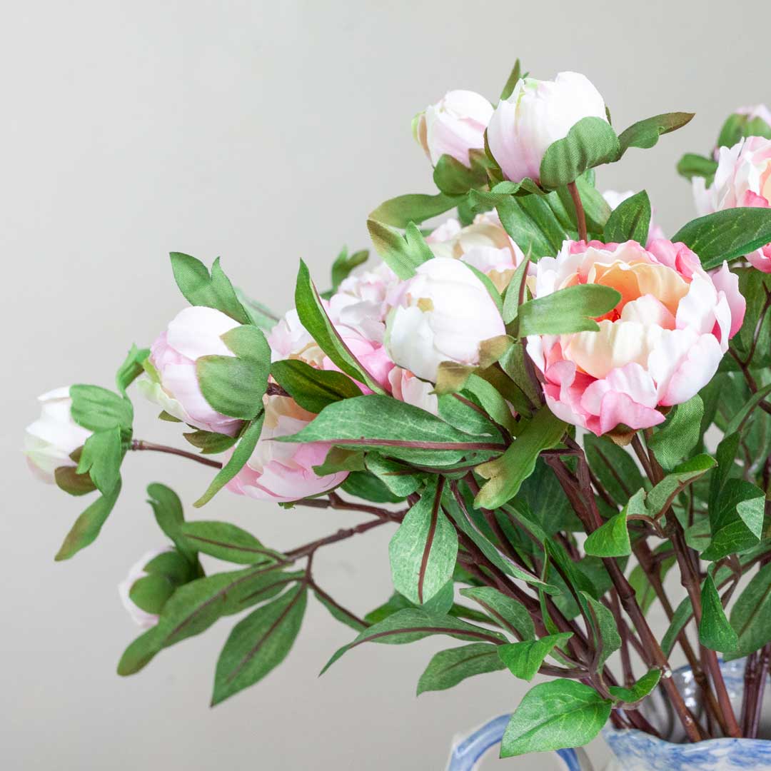 Pale Pink Peony Stem with Buds and Leaves  Peony