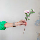 Pale Pink Peony Stem with Buds and Leaves  Peony