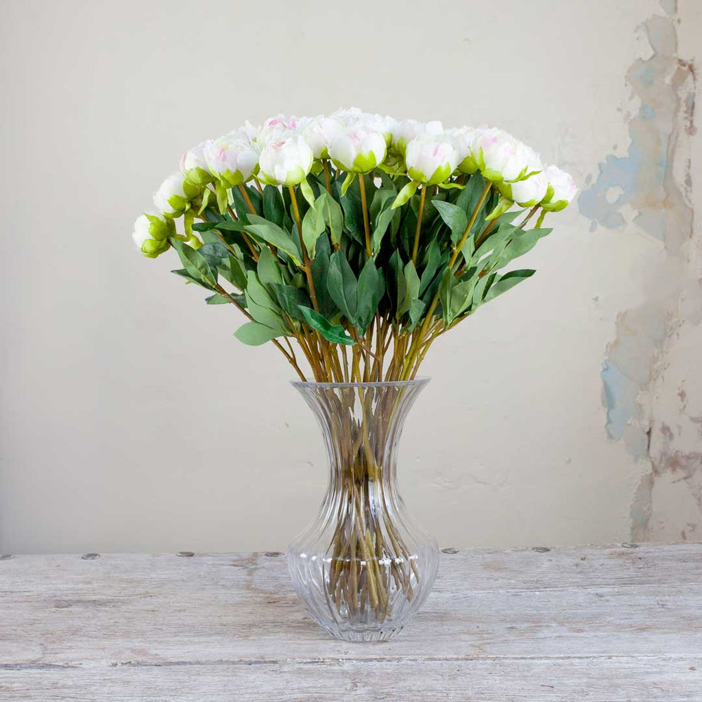 Bridal White Peony in Bud with Leaves on a Long Stem Peony