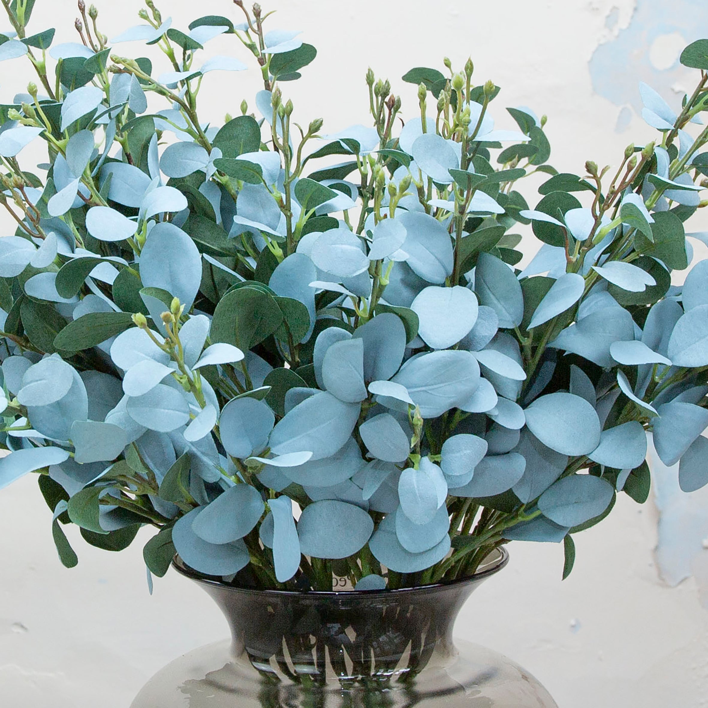 Eucalyptus stem with many leaves. Peony