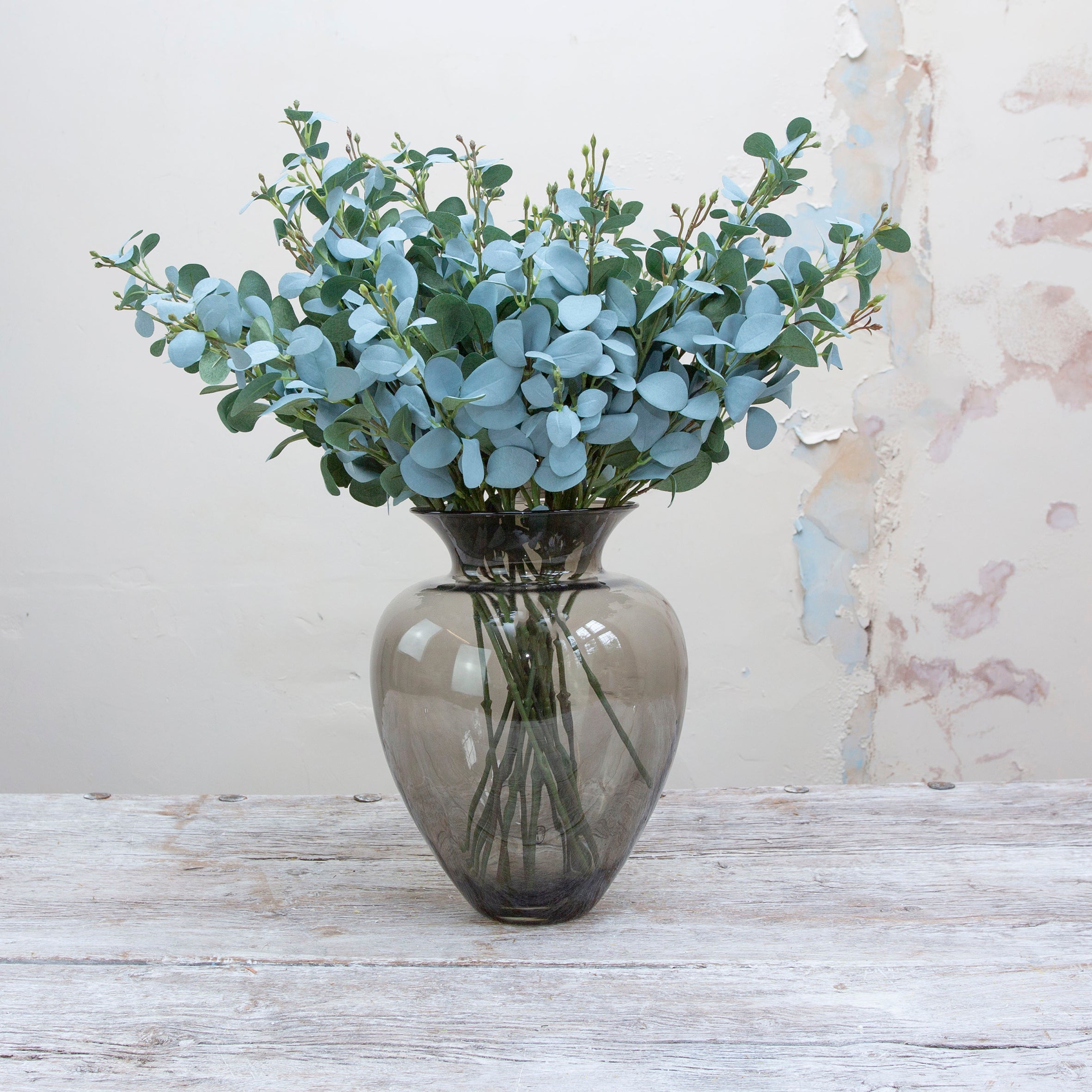 Eucalyptus stem with many leaves. Peony