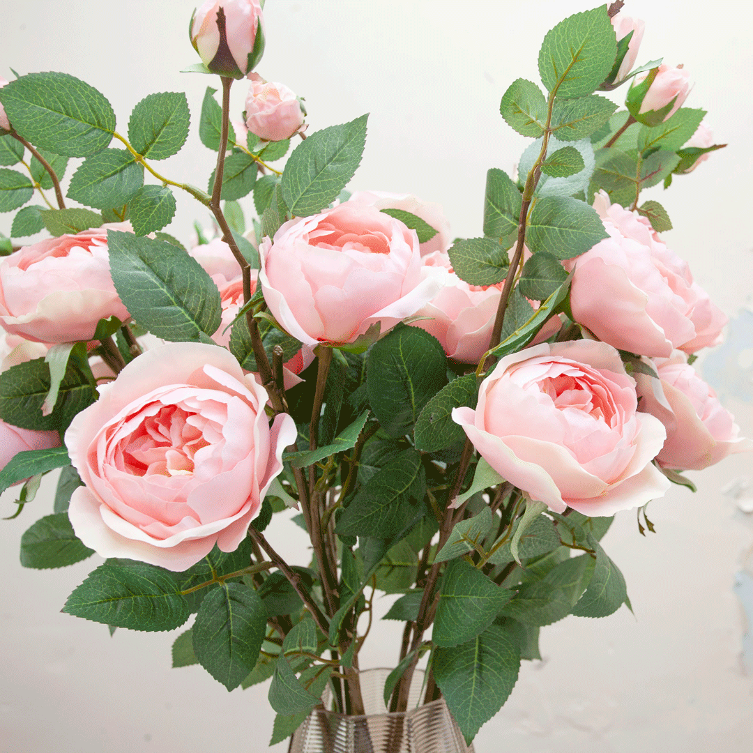 Pale pink roses with rose foliage Peony