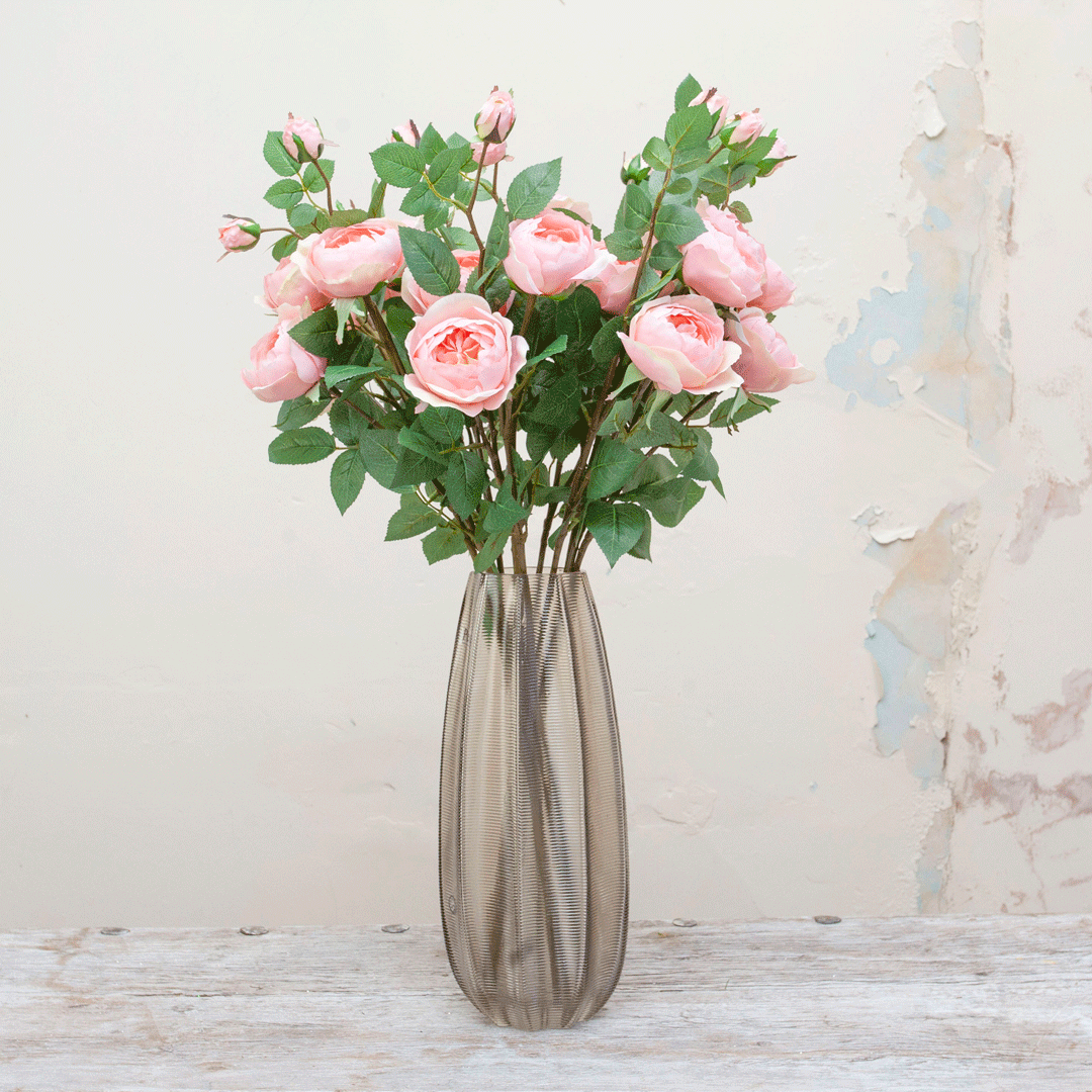 Pale pink roses with rose foliage Peony