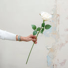 Artificial white rose stem being held in hand, featuring a single open rose bloom in soft bridal white with realistic green leaves on a long slender stem