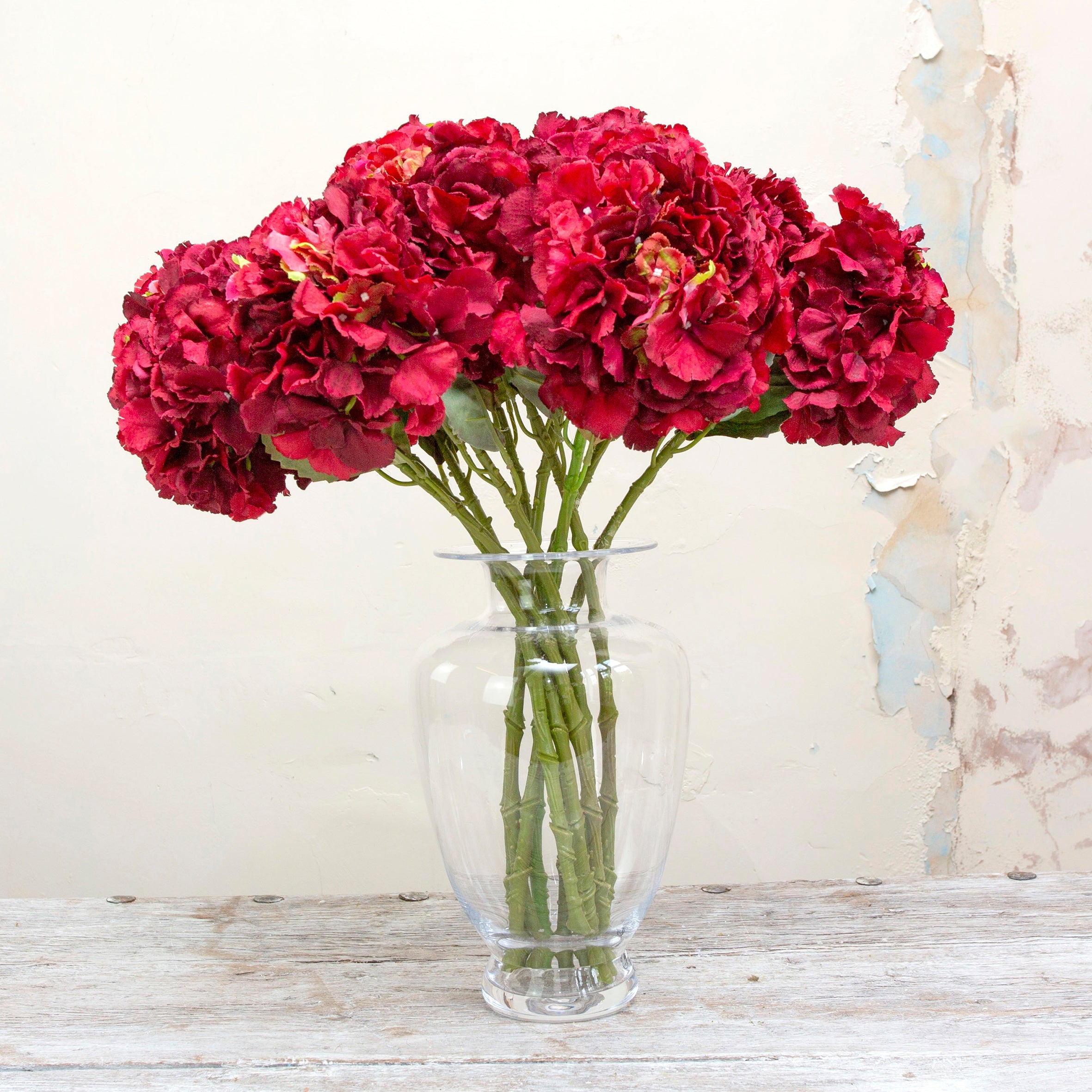 Red pom pom hydrangea with leaves on a long stem. Peony