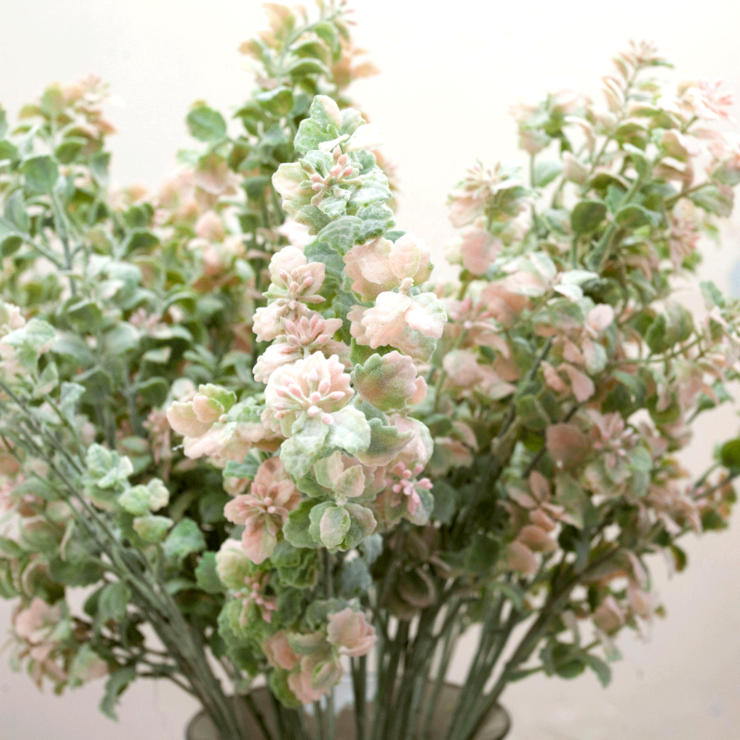 Green foliage with pink tones Peony