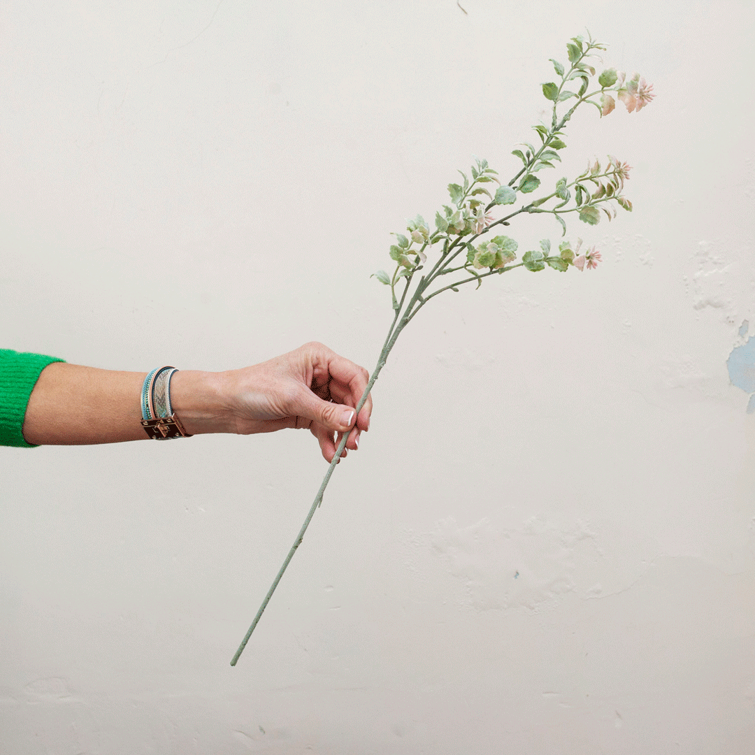 Green foliage with pink tones Peony