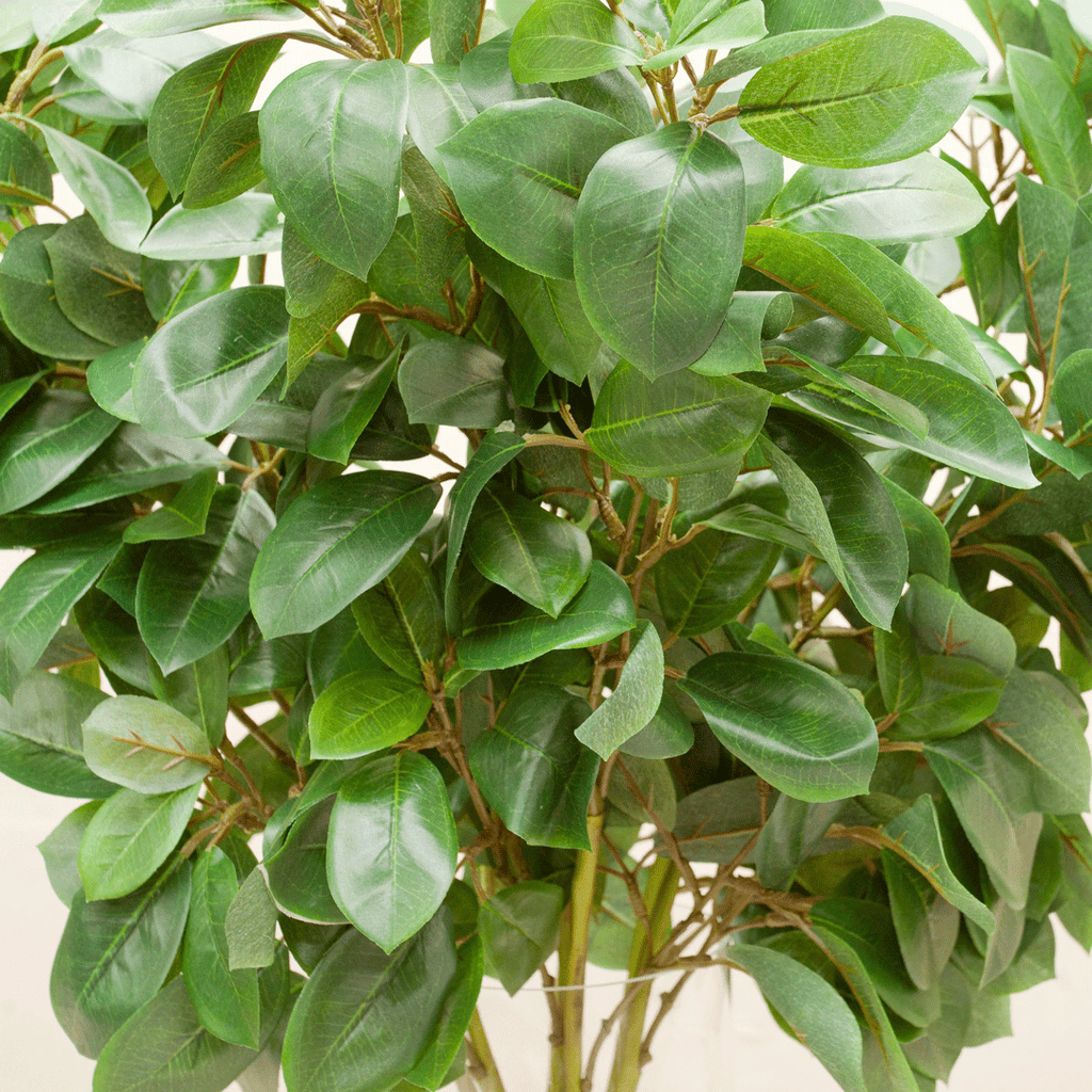 Laurel green leaf spray Peony