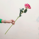 Real touch fuchsia rose stem with leaves Peony