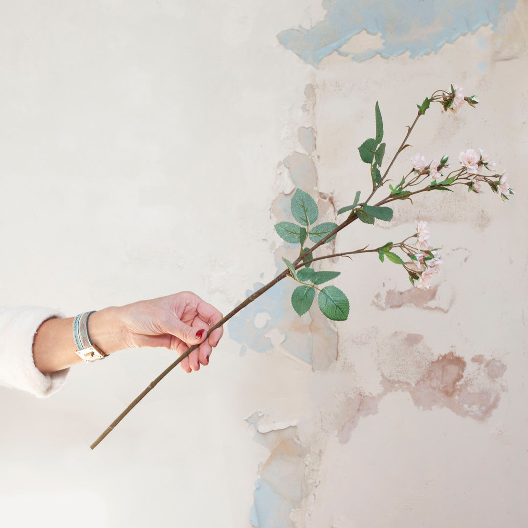 Peach Climbing Rose Spray on a Long Stem