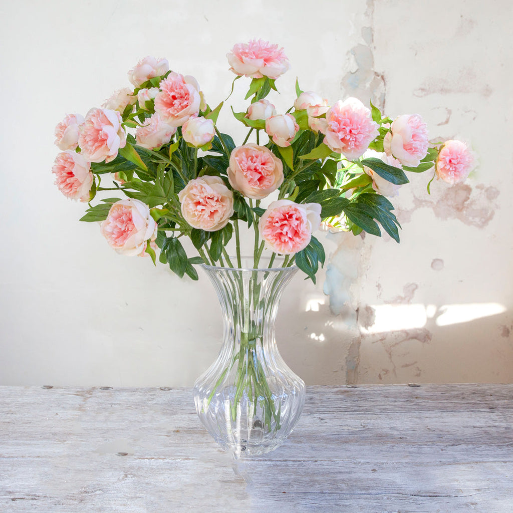 Pale Pink Peonies with Buds and Foliage on a Long Stem Peony