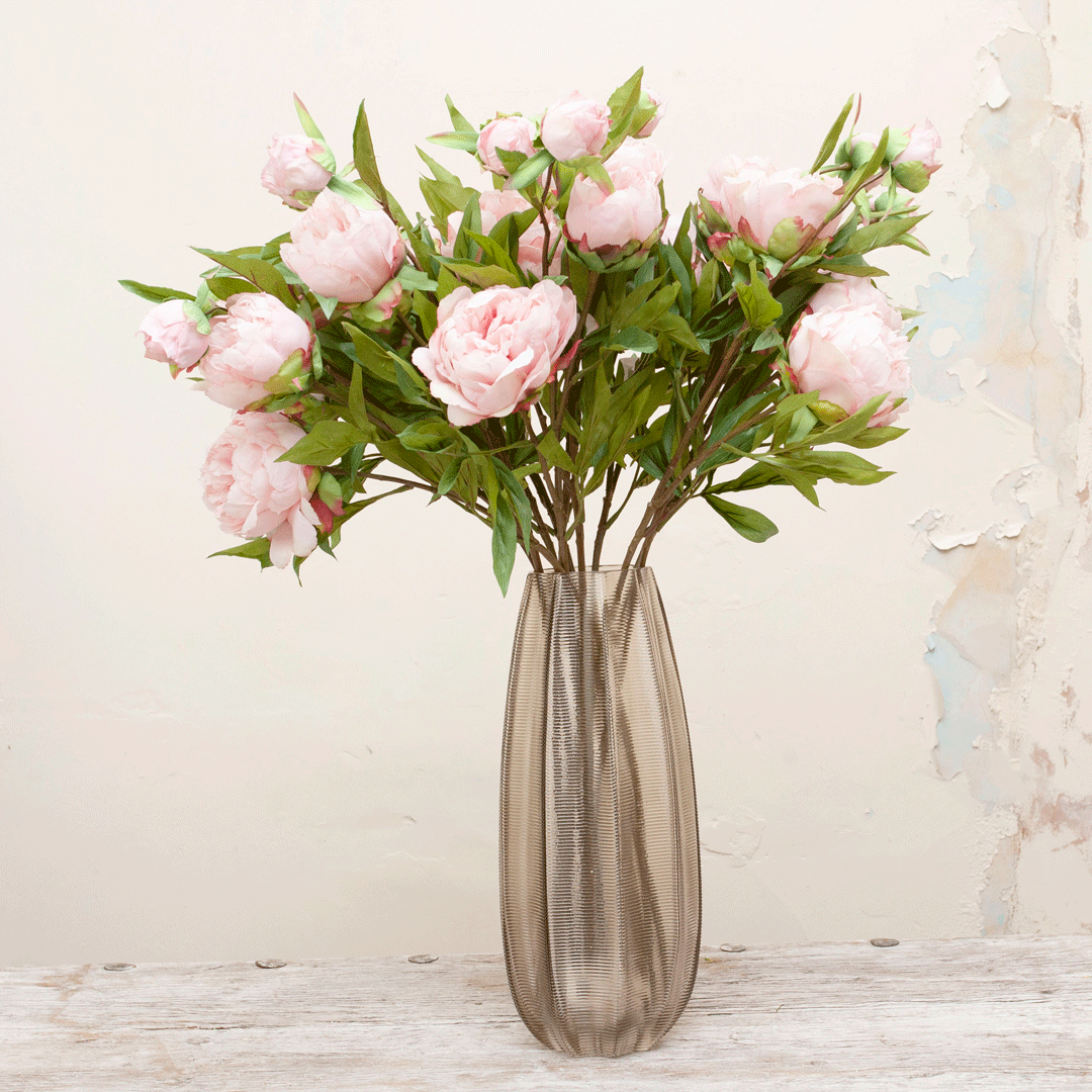 Peonies in pale pink on a long stem Peony