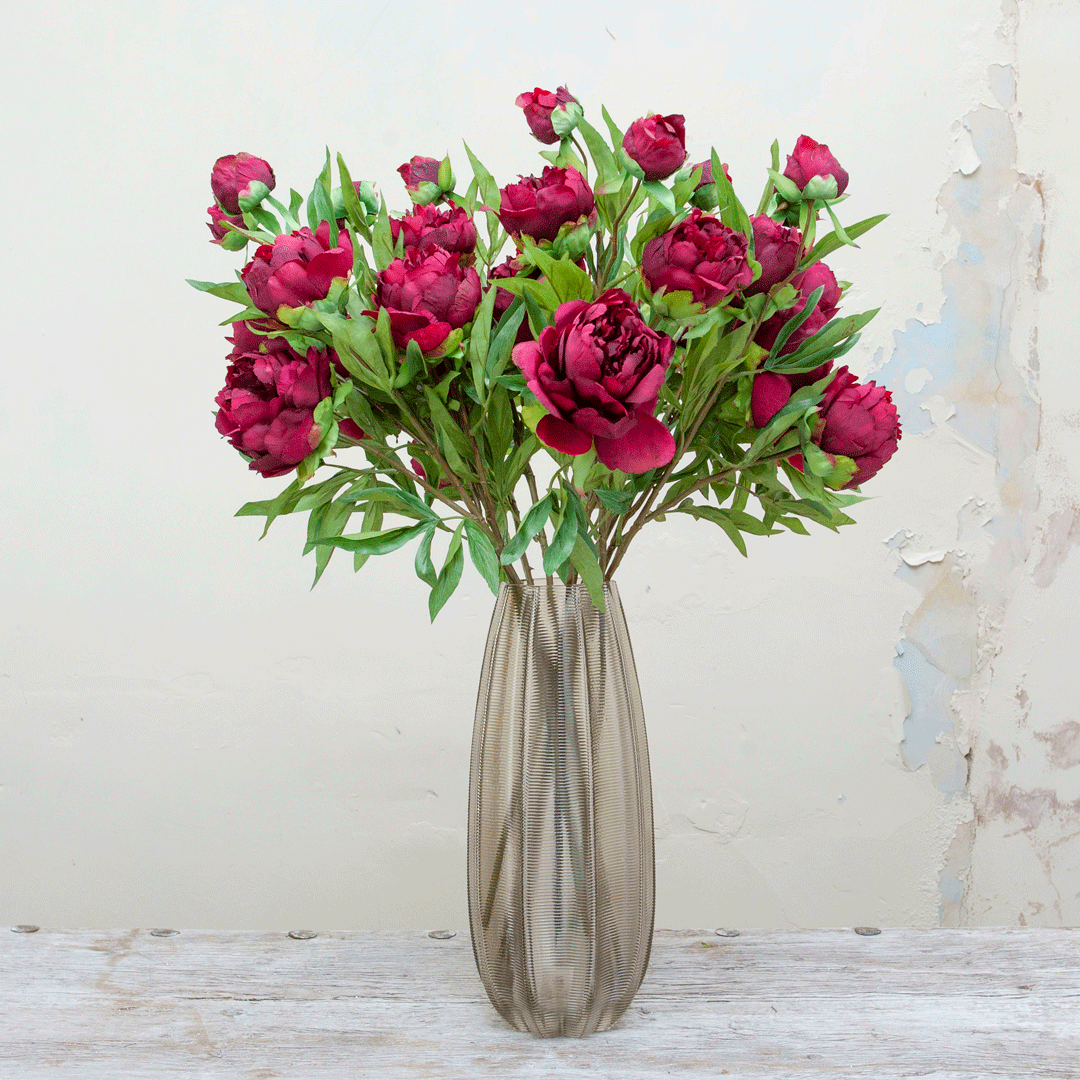 Peonies in a dark fuchsia on a long stem Peony