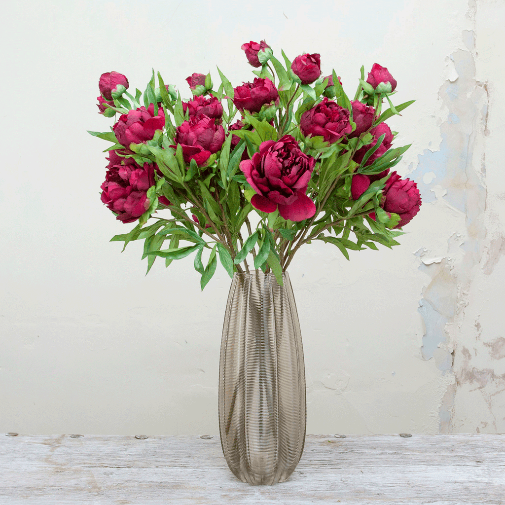 Peonies in a dark fuchsia on a long stem Peony