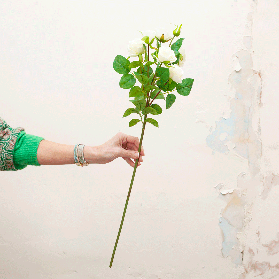 Bridal white multi head rose with leaves Peony