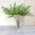 Green Eucalyptus Spray on a Long Stem Peony