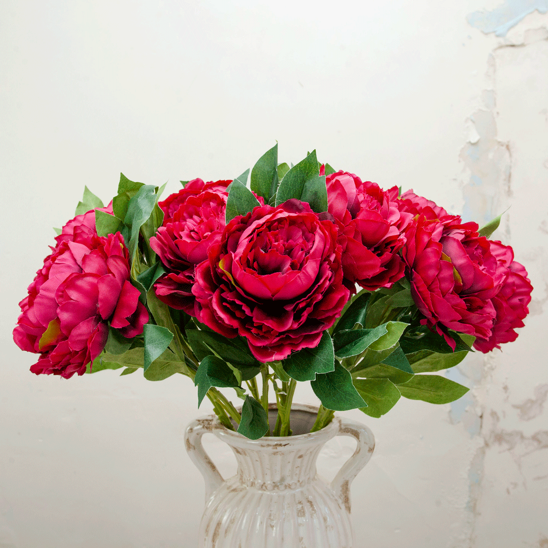 Dark fuchsia pink peony with leaves Peony