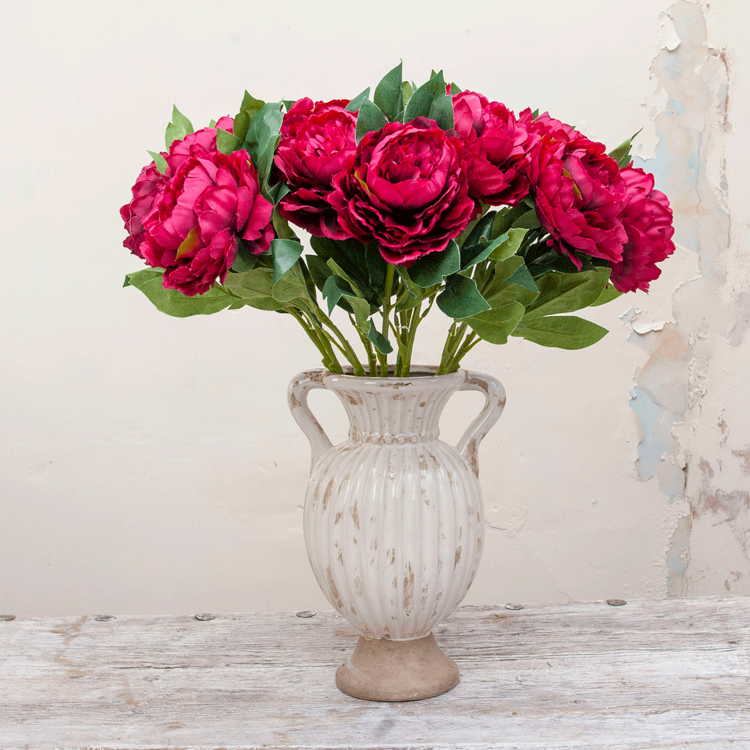 Dark fuchsia pink peony with leaves Peony