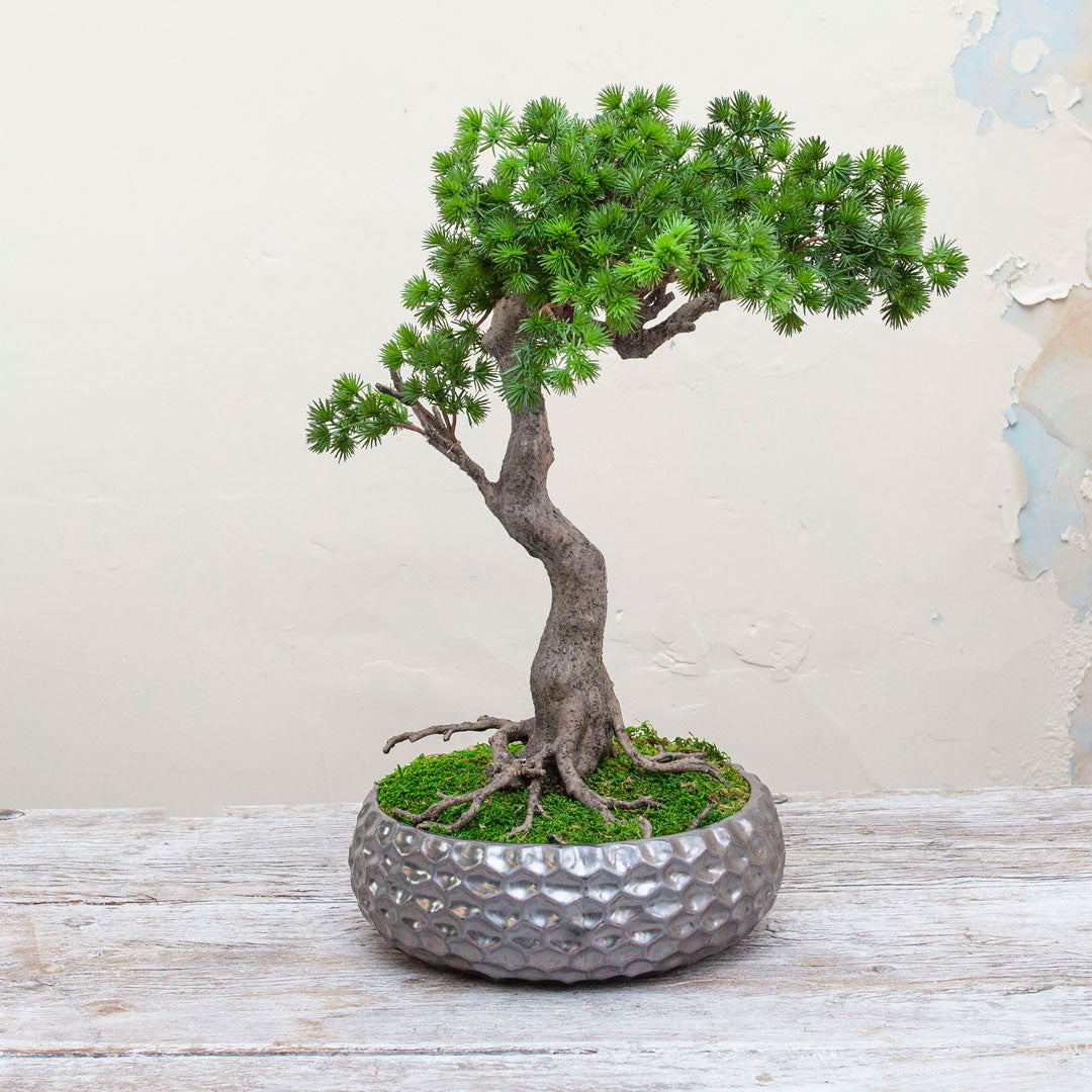 Bonsai tree in real moss in bronze textured ceramic bowl - Peony Faux  Flowers