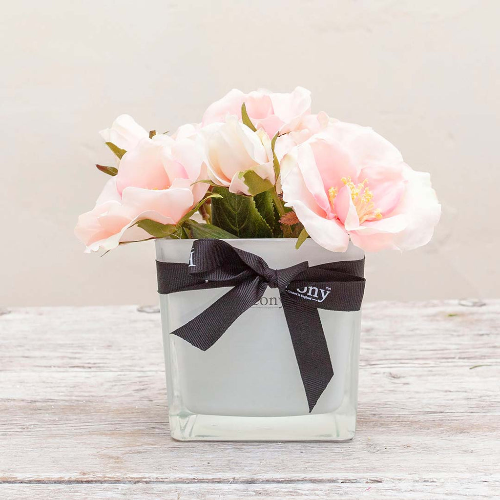 Pale pink Dog Roses set in our white glass cube with ribbon   Peony